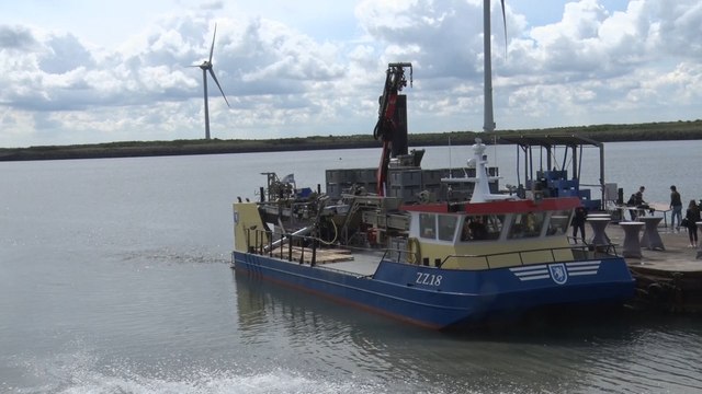 Début de récolte pour les moules de cordes en Zélande
