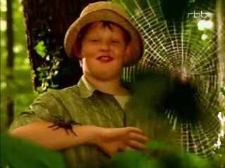 Schloss Einstein Staffel 3 Folge 51