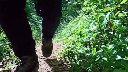 My Footsteps Journey