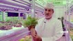 De l'aquaponie à la récolte du miel : l'innovation agricole au Qatar