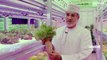 نوآوری های کشاورزی قطر؛ از کشاورزی عمودی تا تولید عسل