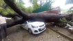 Delhi Storms Causes Tree to Break Through Wall and Squash Parked Car