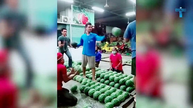 Satisfying Videos of Workers Doing Their Job Perfectly! Amazing Machines And Workers