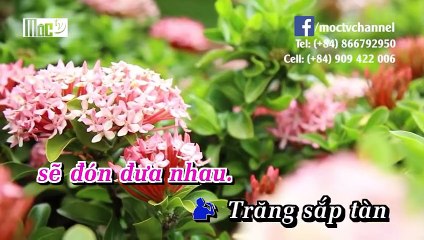 Chim Trắng Mồ Côi Karaoke Song ca _ thiếu giọng Nam