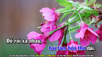 Karaoke Chỉ Có Bạn Bè Thôi Tone Nam Nhạc Sống - Đàn Organ EA7