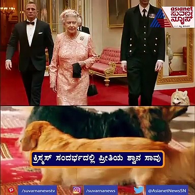 ವಾಷಿಂಗ್ ಮಷಿನೊಳಗೆ ಸಿಕ್ಕಾಕಿಕೊಂಡ ಲವರ್, ಬೆಕ್ಕಿನ ಪರದಾಟವ ನೀವೇ ನೋಡಿ..!