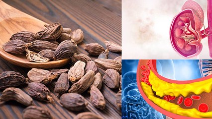 खाली पेट बड़ी इलाइची खाने से क्या होता है | खाली पेट बड़ी इलाइची खाने के फायदे | Boldsky