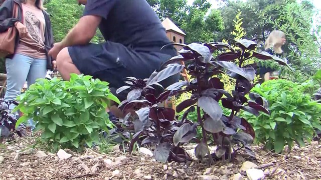 Rendez-vous aux jardins à Martigues : plusieurs animations gratuites organisées ce week-end