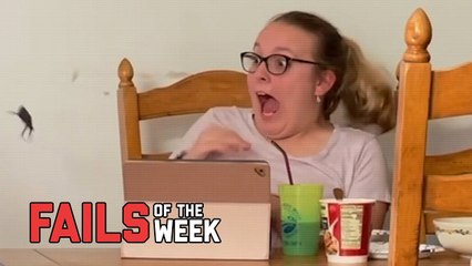 Don’t Freak Out! Fails of the Week   FailArmy