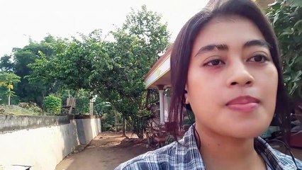 Wellcome The Biggest Rhinoceranto de animais Di savage Animals wild