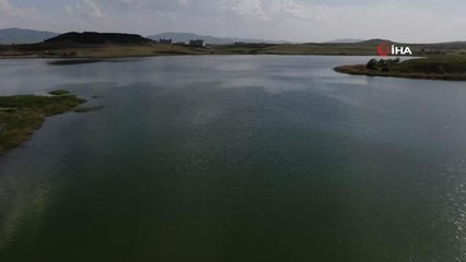 Sivas'ın en büyük ikinci gölünde sevindiren gelişme