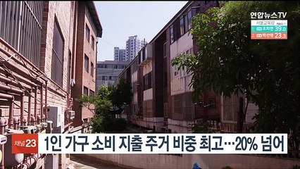 1인 가구 소비 지출 주거 비중 최고…20% 넘어