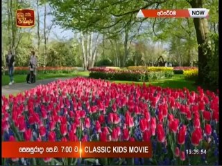 Atapattama 01-06-2022