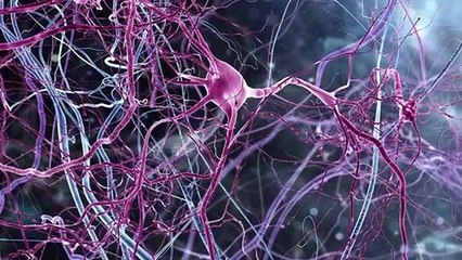 10 Descubrimientos en #Neurociencia que te dejarán boquiabierto