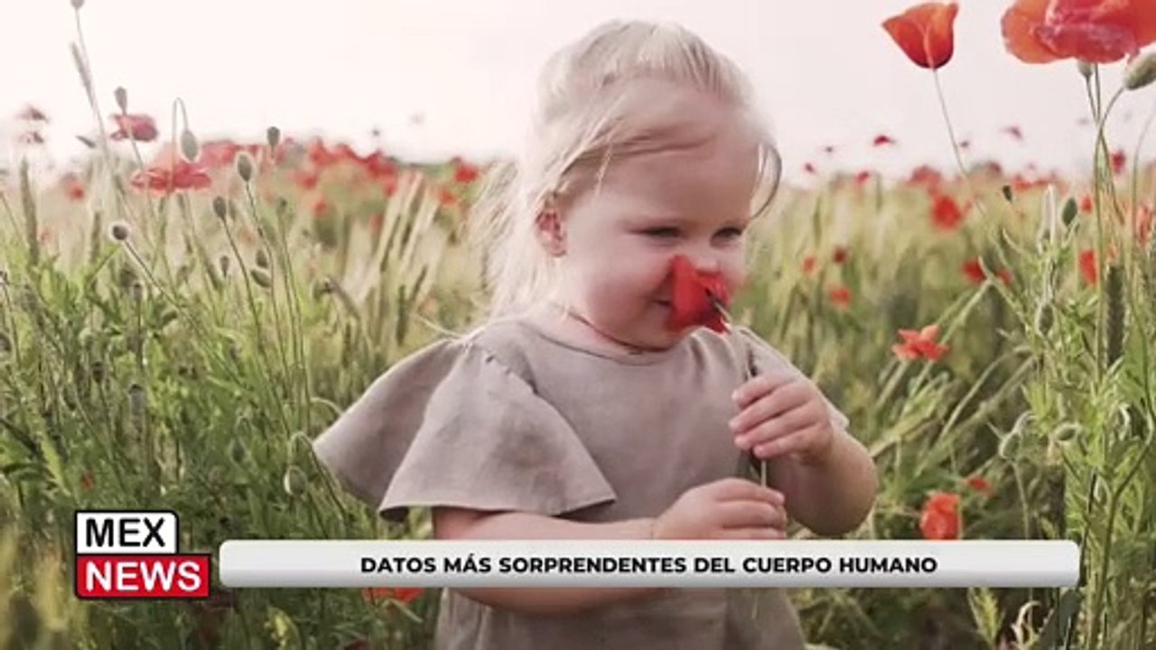 DATOS MÁS SORPRENDENTES DEL CUERPO HUMANO