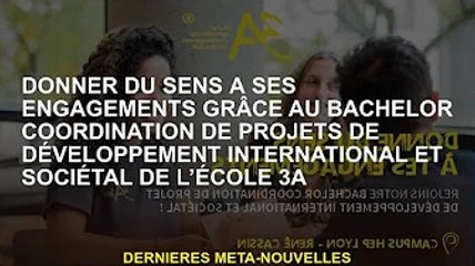 Donnez du sens à vos engagements avec le BA en coordination de programmes de développement internati