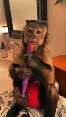 Well it’s that time again!