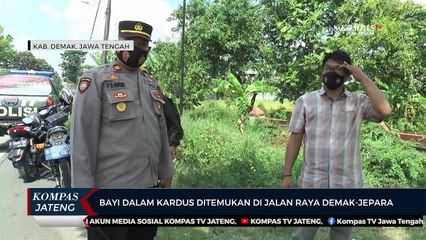 Bayi Dalam Kardus Ditemukan di Jalan Raya Demak - Jepara