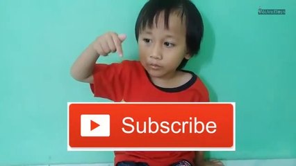 Lagu Anak malu sama kucing