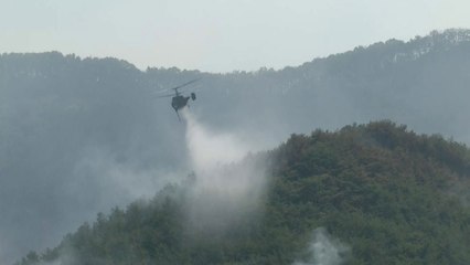 경남 밀양 산불 진화율 60%...오후 들어 진화 활기 / YTN