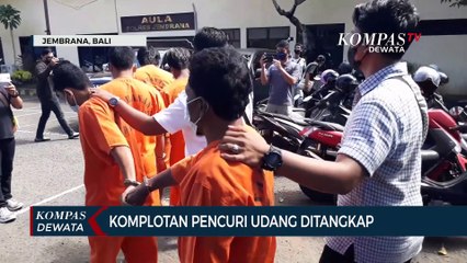 Komplotan Pencuri Udang Ditangkap