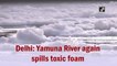Delhi: Yamuna River again spills toxic foam