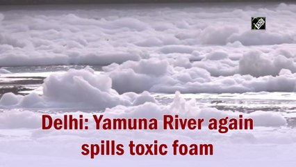 Delhi: Yamuna River again spills toxic foam