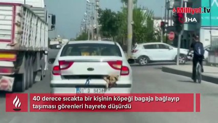 40 derece sıcakta köpeği bagajda taşıdı