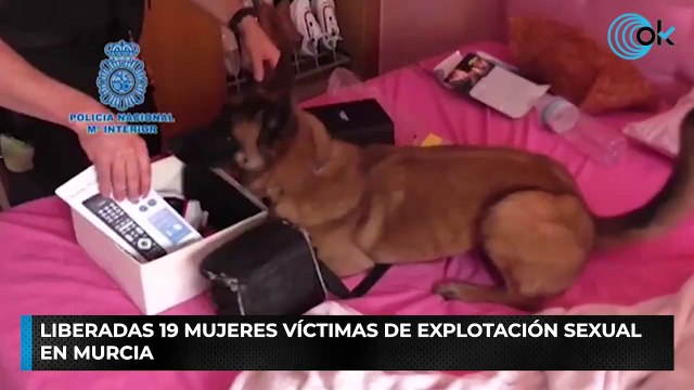 Liberadas 19 mujeres víctimas de explotación sexual en Murcia