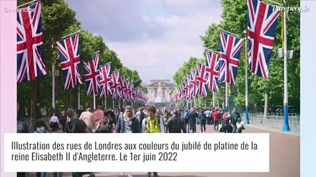 Elizabeth II : Un nouveau portrait très chic dévoilé à l'occasion du jubilé de platine