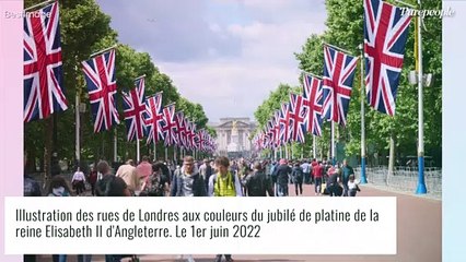 Elizabeth II : Un nouveau portrait très chic dévoilé à l'occasion du jubilé de platine