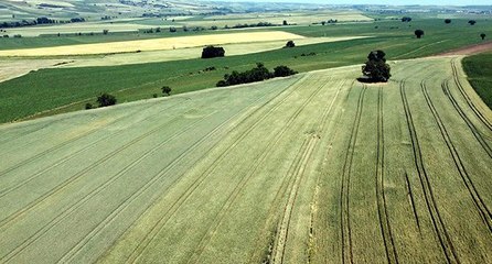 Prof. Dr. Orta: Türkiye, meteorolojik ve zirai kuraklık yaşıyor