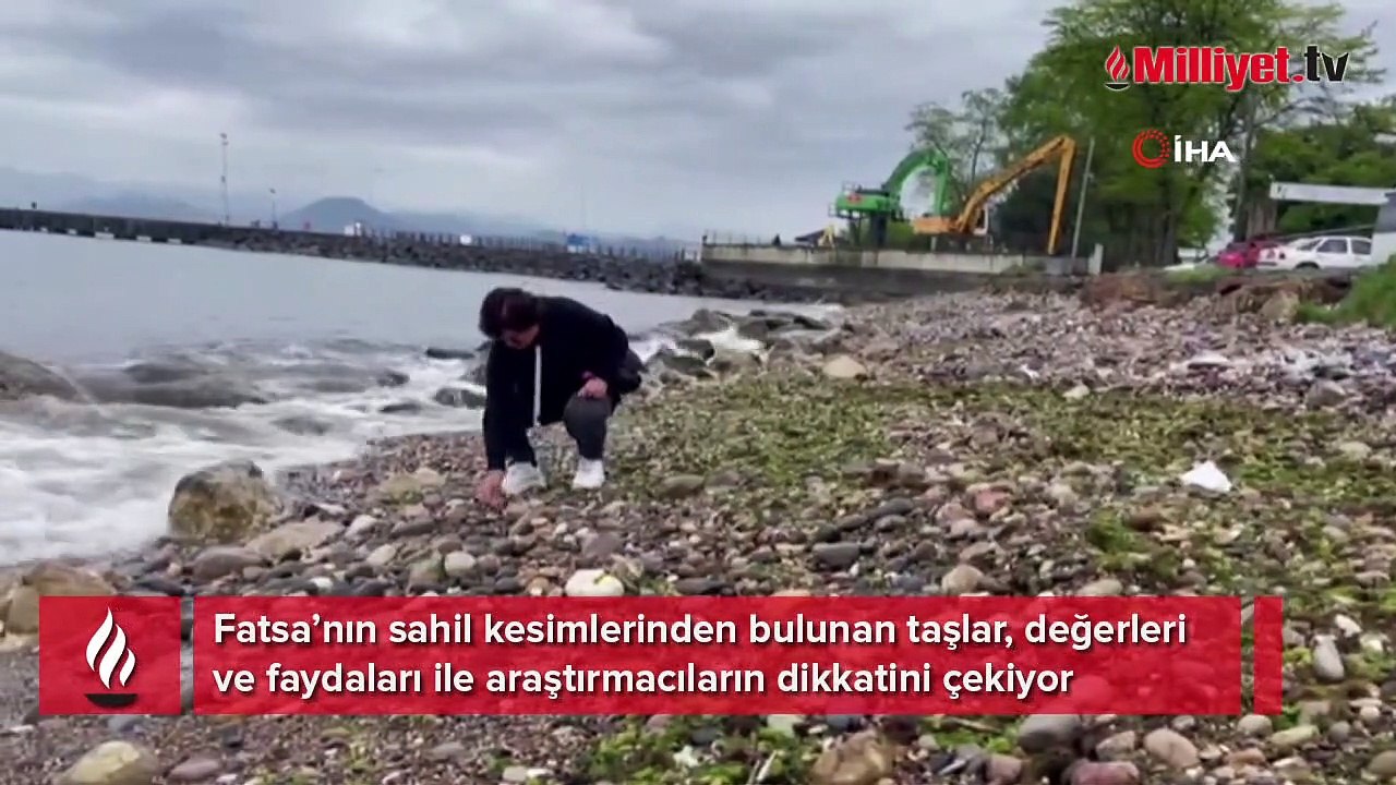 Fatsa sahilindeki değerli taşlar keşfedilmeyi bekliyor