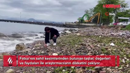 Fatsa sahilindeki değerli taşlar keşfedilmeyi bekliyor