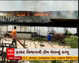 વડોદરાના વસાઈ ગામમાં તબેલામાં લાગી ભીષણ આગ