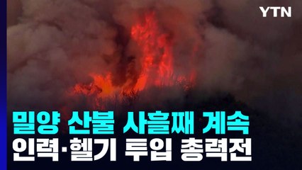 이례적인 초여름 대형 산불...고온건조한 날씨 속 진화 사투 / YTN