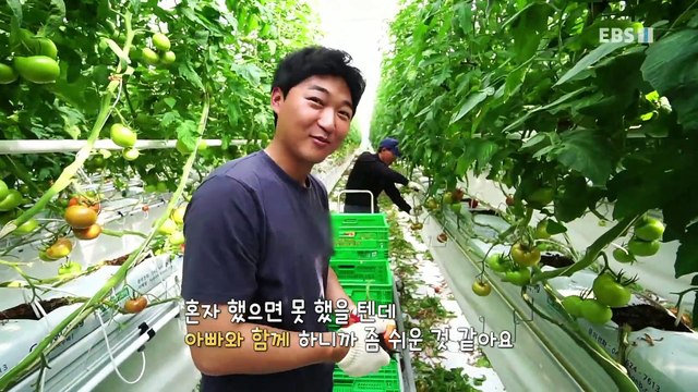 한국기행 - Korea travel_내 인생의 한 끼 5부- 나의 로망 실현기_#001