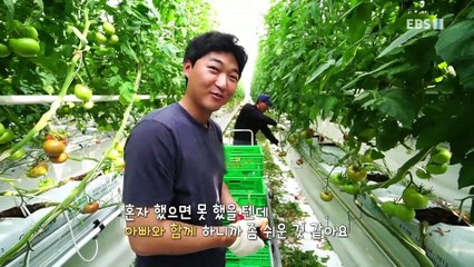 한국기행 - Korea travel_내 인생의 한 끼 5부- 나의 로망 실현기_#001