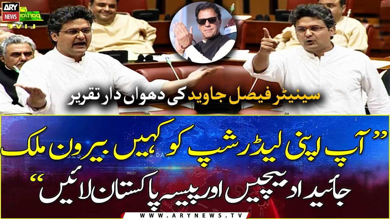 Senator Faisal Javed's fiery speech in senate session