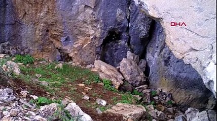 Türkiye'de 48 yıl sonra görüldü: Anadolu parsının varlığı böyle tespit edildi