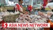 The Straits Times | M’sia's Health Minister 'optimistic' chicken exports to S'pore would resume soon