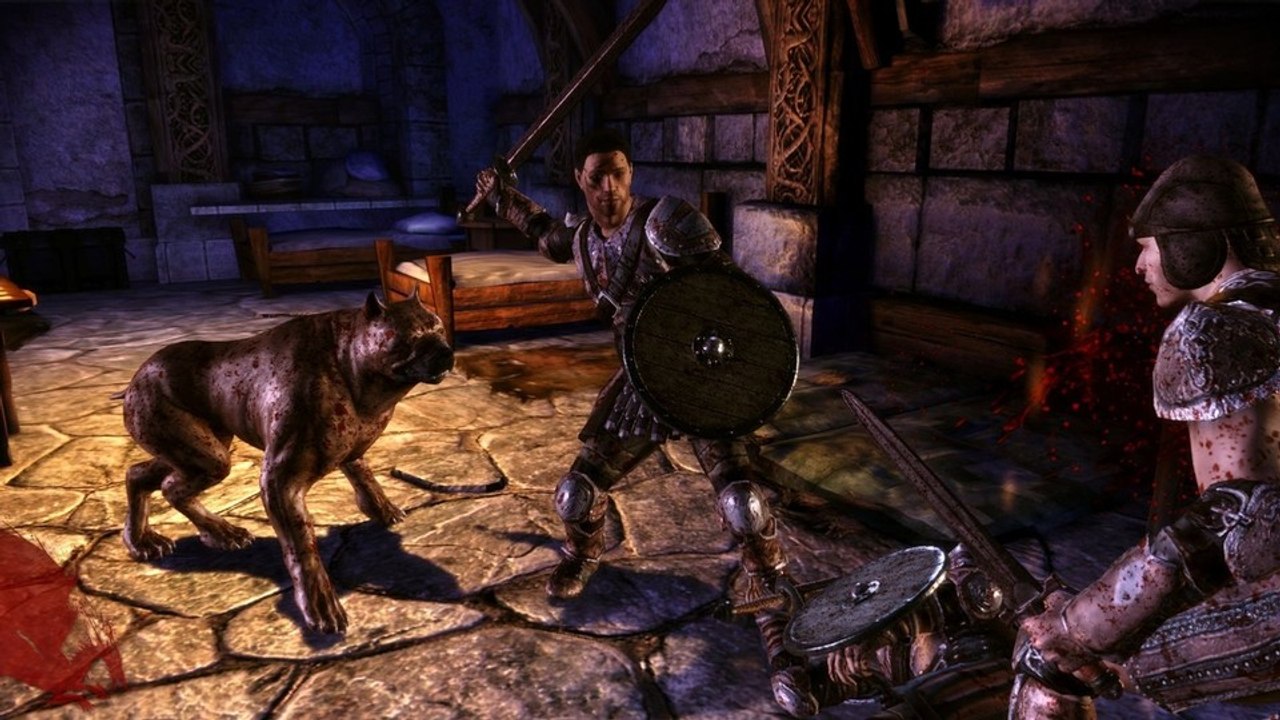 Dragon Age: Origins: Tutorial-Video 2