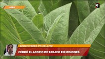 Cerró el acopio de tabaco en Misiones