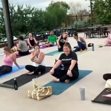 Golden Retriever - The Most Dangerous Dogs on This Planet - Funny and Cute Golden Retriever Puppies