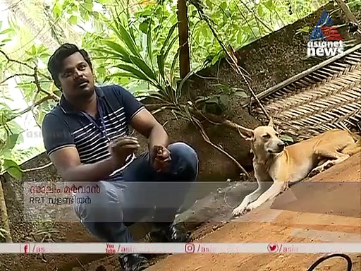 കൊവിഡ് കാലത്ത് ഇതരജീവികളോടും മനുഷ്യന്റെ കരുണ, മലബാര്‍ മാന്വല്‍