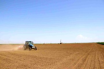 Niğde'de fasülye ve barbunya ekimi başladı