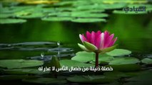 أبيات شعر عن البخل