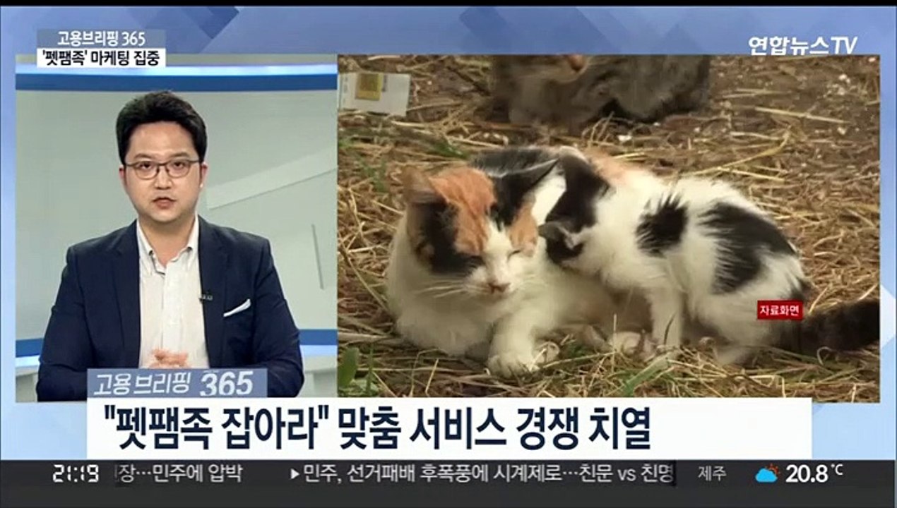 [고용브리핑365] '펫팸족'마케팅 집중