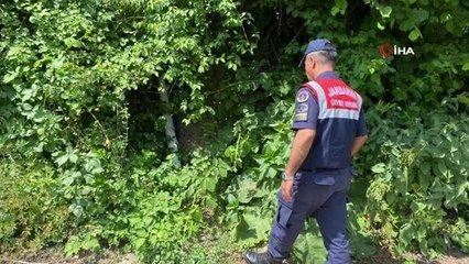 367 bin liralık ceza yıldırmadı... İnsan ve hayvan atıklarını dereye dökmeye devam ettiler