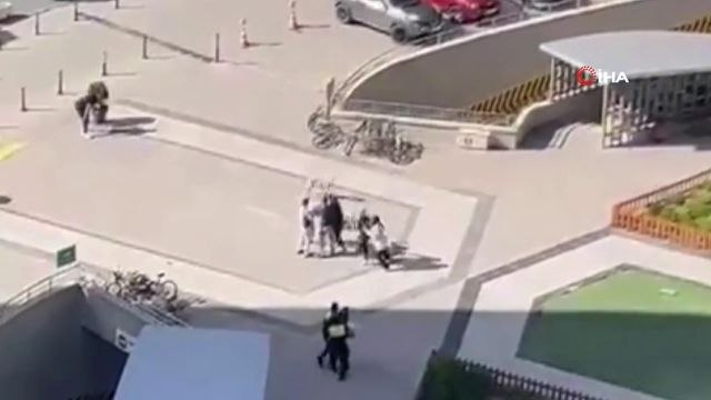 Site içindeki sokak köpeklerine saldırıp, köpekleri korumaya çalışan kadını darp etti